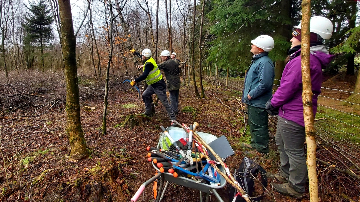 Woodland training a great success | Middle Marches Community Land Trust